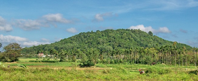Tình hình kinh tế
