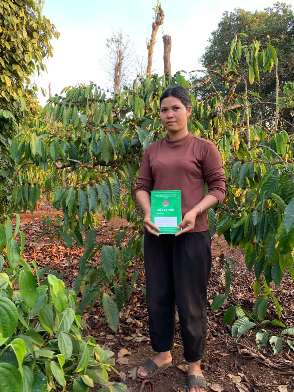 Đoàn thanh niên xã Ea Kiết hỗ trợ  giúp người dân tiếp cận nguồn vốn Ngân hàng Chính sách xã hội để phát triển kinh tế cây cà phê