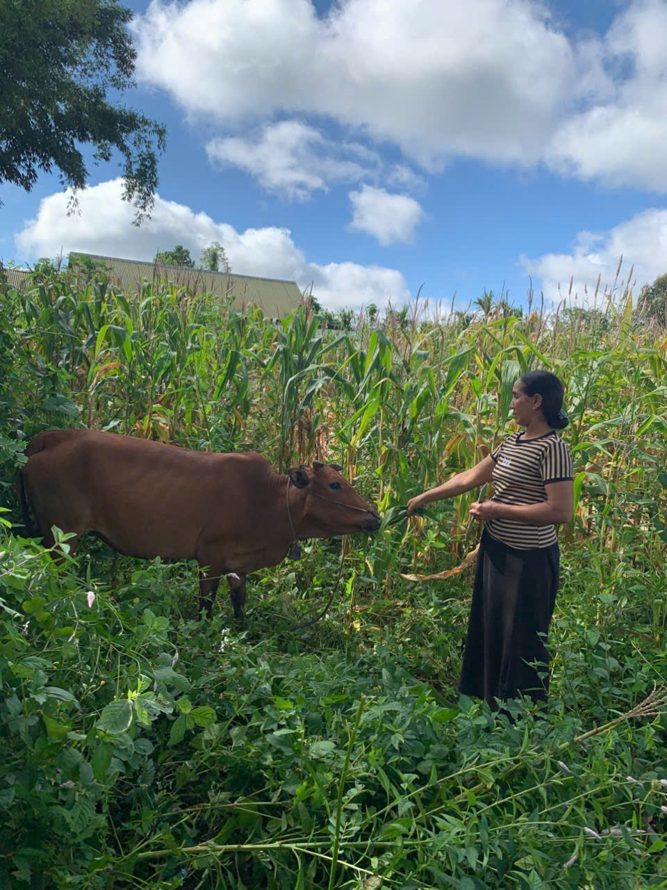 ĐẢM BẢO NGUỒN VỐN CHÍNH SÁCH XÃ HỘI ĐẾN ĐOÀN VIÊN, HỘI VIÊN SAU KHI SÁP NHẬP CHÍNH QUYỀN 2 CẤP