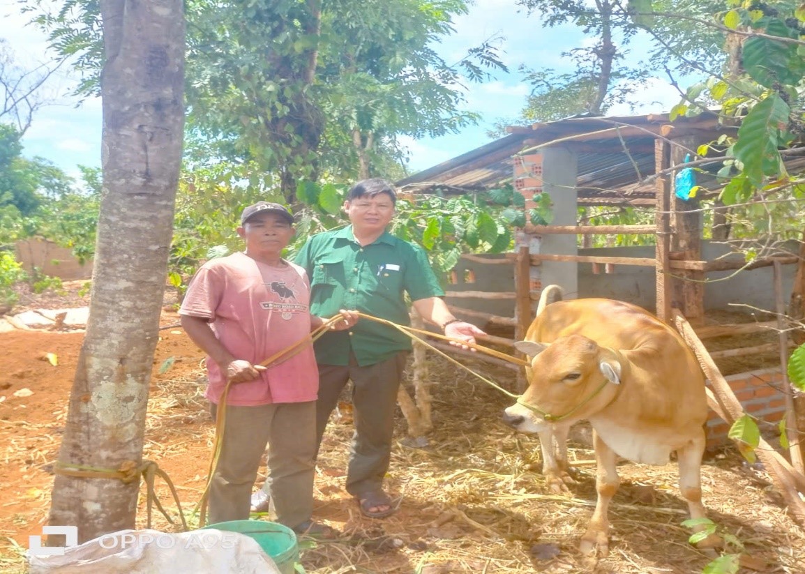 Thoát nghèo từ nguồn vốn vay ngân hàng chính sách xã hội