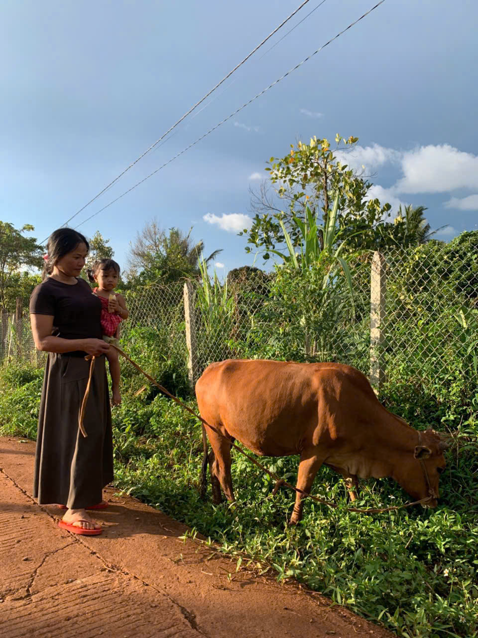 Nguồn vốn Ngân hàng Chính Sách- Góp phần phát triển địa phương