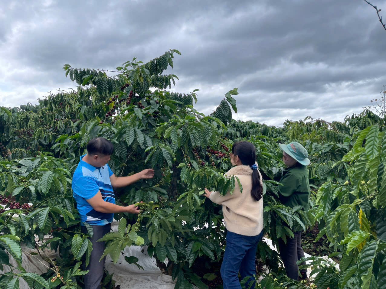 Hội Cựu chiến binh xã Ea Kiết thực hiện tốt công tác kiểm tra, giám sát nguồn vốn cho vay uỷ thác Ngân hàng Chính sách xã hội