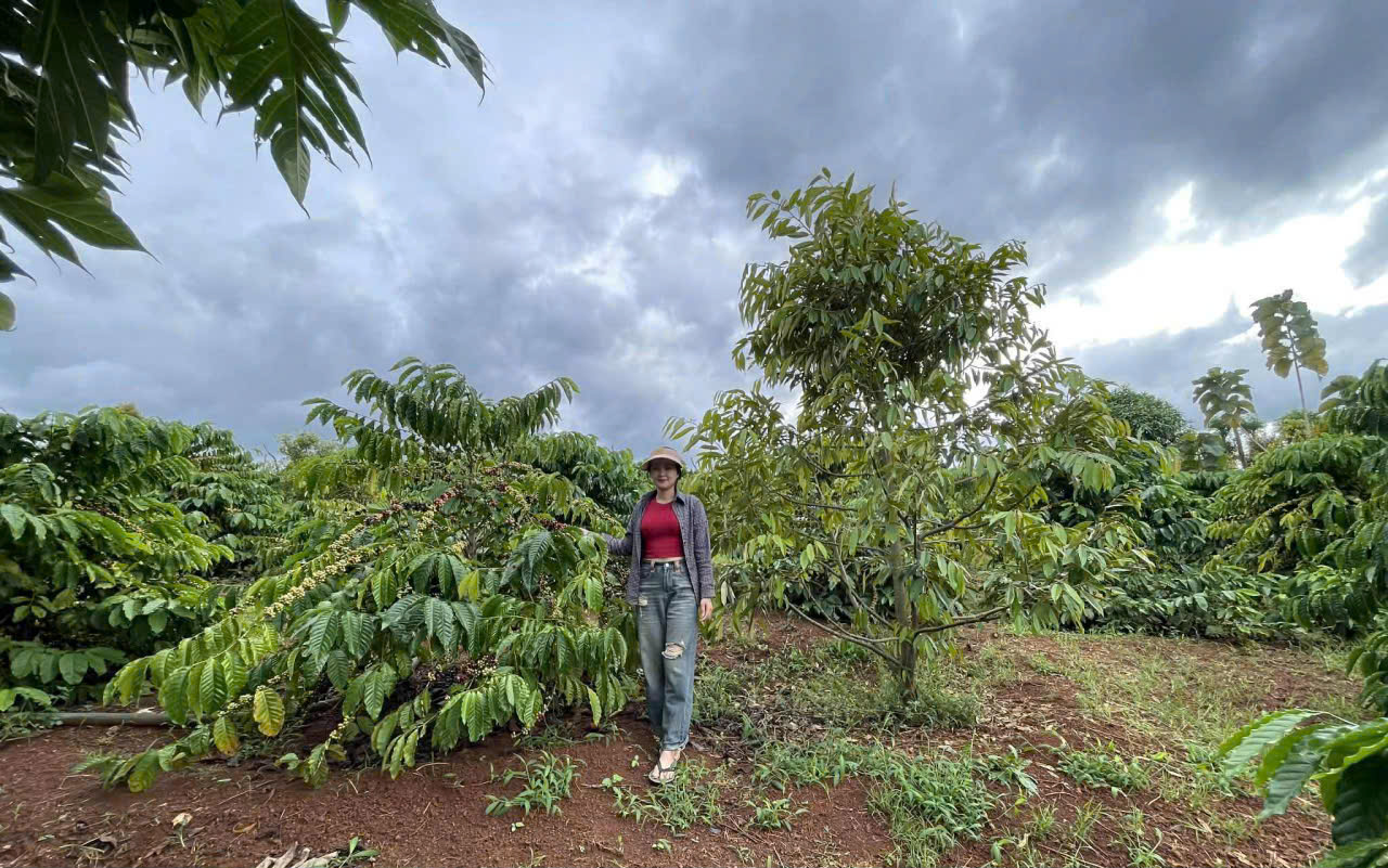 Đoàn thanh niên hỗ trợ Đoàn viên vay vốn nguồn vốn giải quyết việc làm phát triển kinh tế